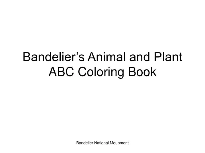 bandelier s animal and plant abc coloring book