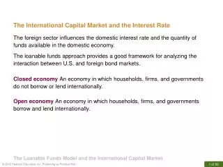 The International Capital Market and the Interest Rate