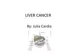 LIVER CANCER - slide 1
