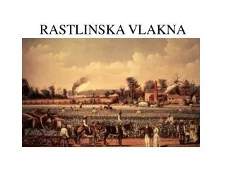 rastlinska vlakna