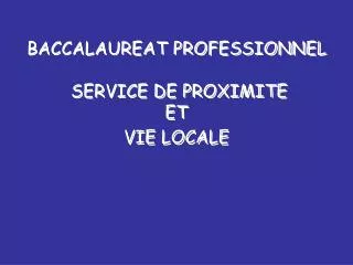 baccalaureat professionnel service de proximite et vie locale