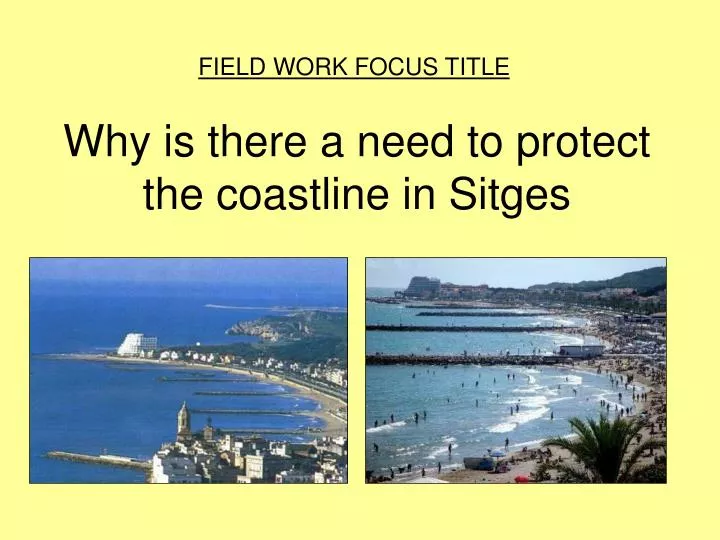 why is there a need to protect the coastline in sitges
