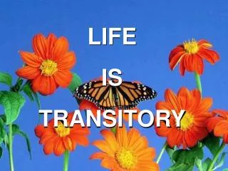 LIFE IS TRANSITORY
