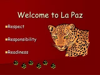 Welcome to La Paz