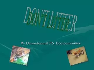 By Drumdonnell P.S. Eco-committee