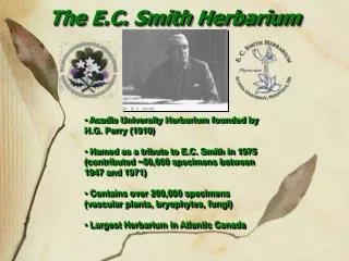 The E.C. Smith Herbarium