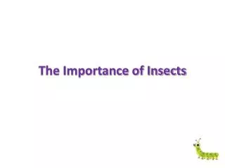 The Importance of Insects