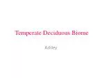 Temperate Deciduous Biome - slide 1