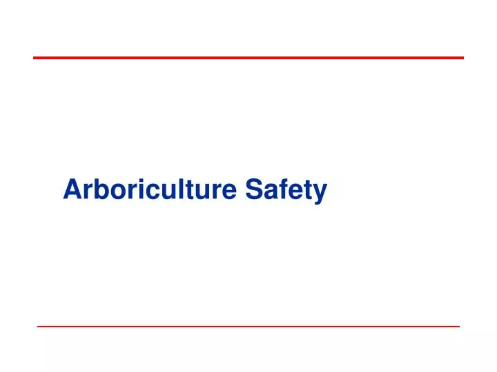 arboriculture safety