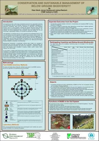 CONSERVATION AND SUSTAINABLE MANAGEMENT OF BELOW GROUND BIODIVERSITY