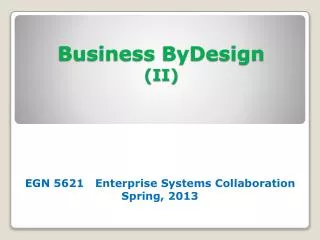 Business ByDesign (II)