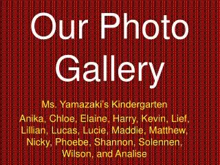 Our Photo Gallery