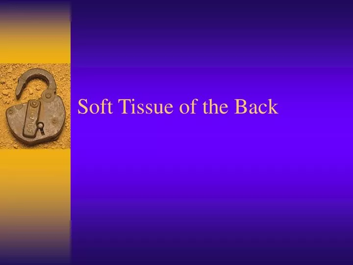 soft tissue of the back