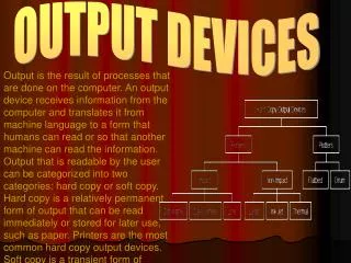 OUTPUT DEVICES