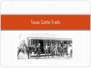 Texas Cattle Trails