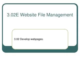 3.02E Website File Management