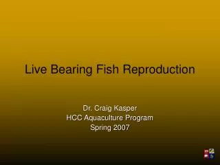 Live Bearing Fish Reproduction