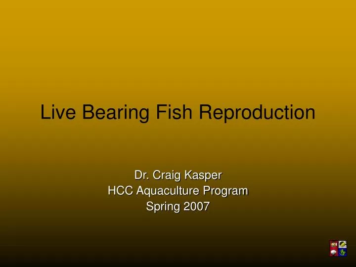 live bearing fish reproduction