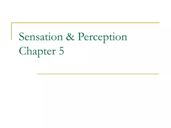 sensation perception chapter 5