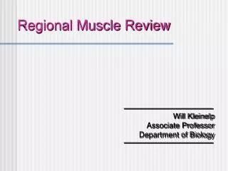 Regional Muscle Review
