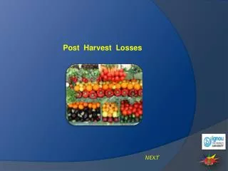 Post Harvest Losses