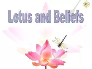 Lotus and Beliefs