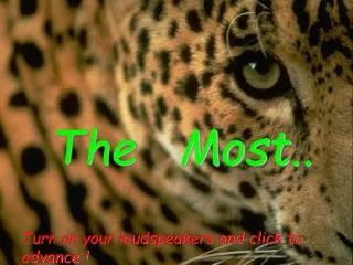 The Most ..