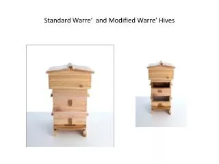 Standard Warre? and Modified Warre? Hives