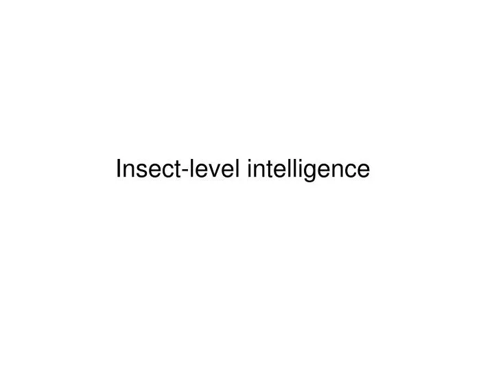 insect level intelligence