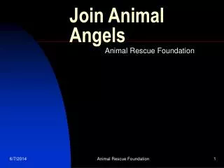 Join Animal Angels