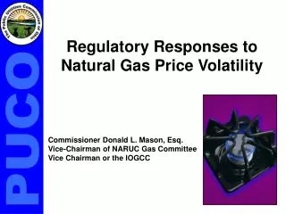 Regulatory Responses to Natural Gas Price Volatility