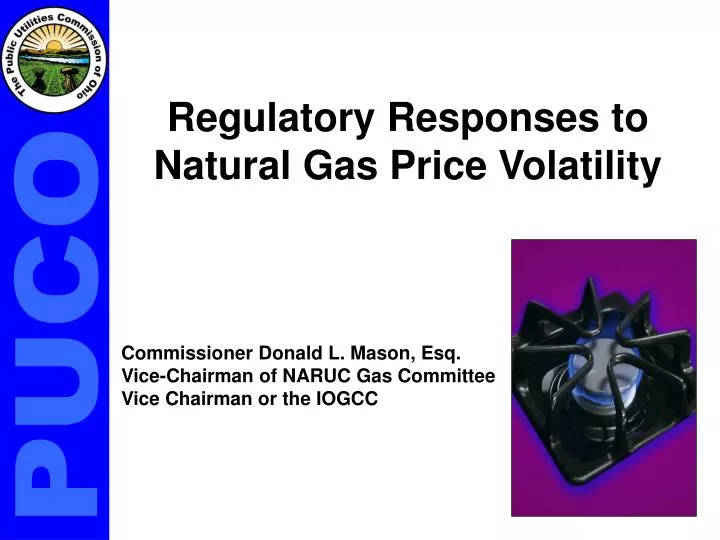 regulatory responses to natural gas price volatility