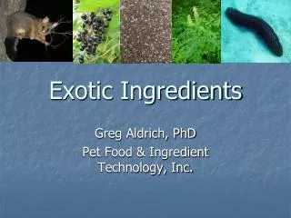 Exotic Ingredients