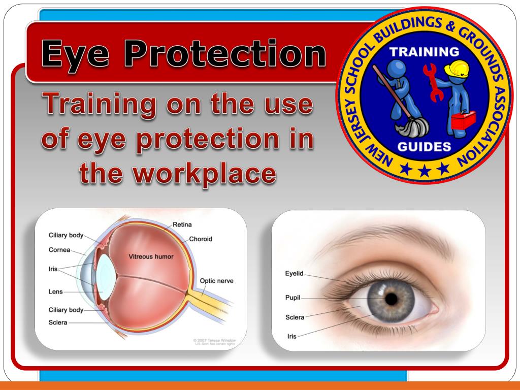 Vision Protection Pdf PPT - Eye Protection PowerPoint Presentation, free download - ID:1434307