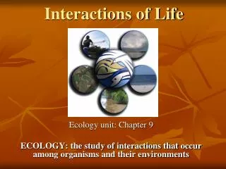 Interactions of Life