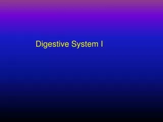 Digestive System I