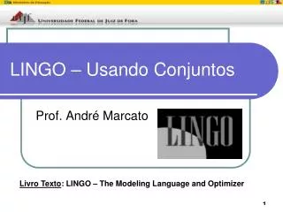 LINGO – Usando Conjuntos