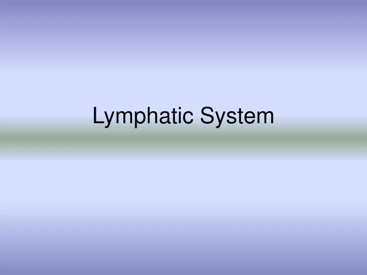 lymphatic system