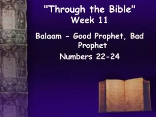 &quot;Through the Bible&quot; Week 11