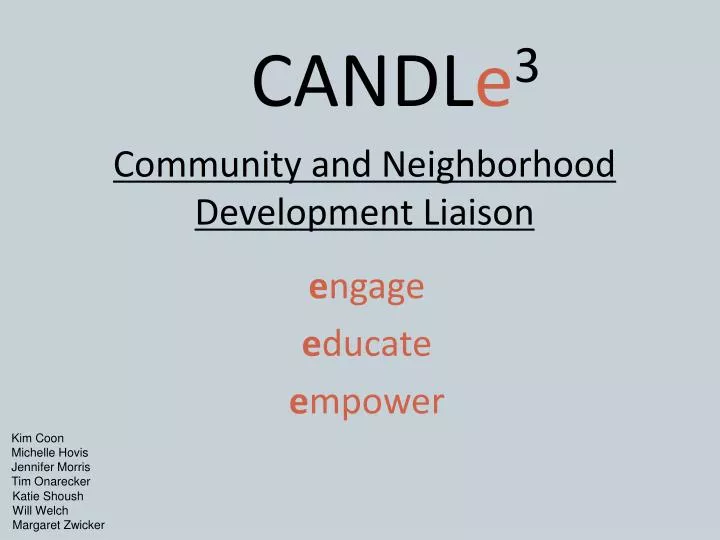 community and neighborhood development liaison