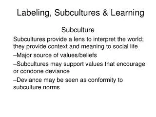 labeling subcultures learning