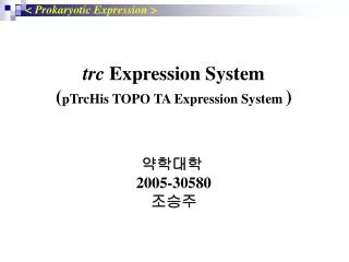 trc Expression System ( pTrcHis TOPO TA Expression System ) ???? 2005-30580 ???