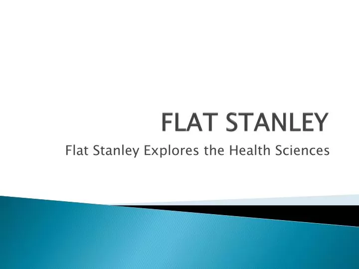 flat stanley