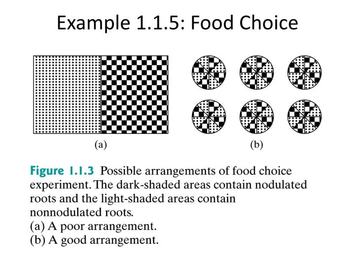 example 1 1 5 food choice