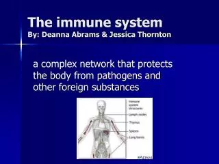 The immune system By: Deanna Abrams &amp; Jessica Thornton