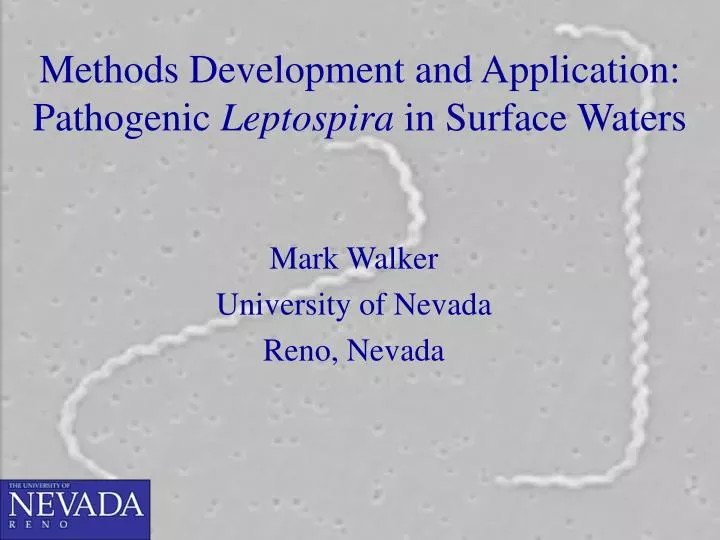 methods development and application pathogenic leptospira in surface waters