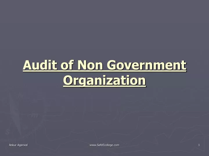 audit of non government organization