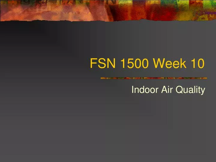 fsn 1500 week 10