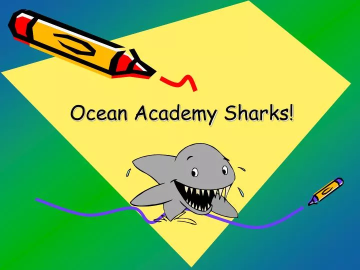 ocean academy sharks