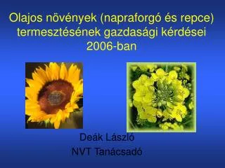 Olajos növények (napraforgó és repce) termesztésének gazdasági kérdései 2006-ban